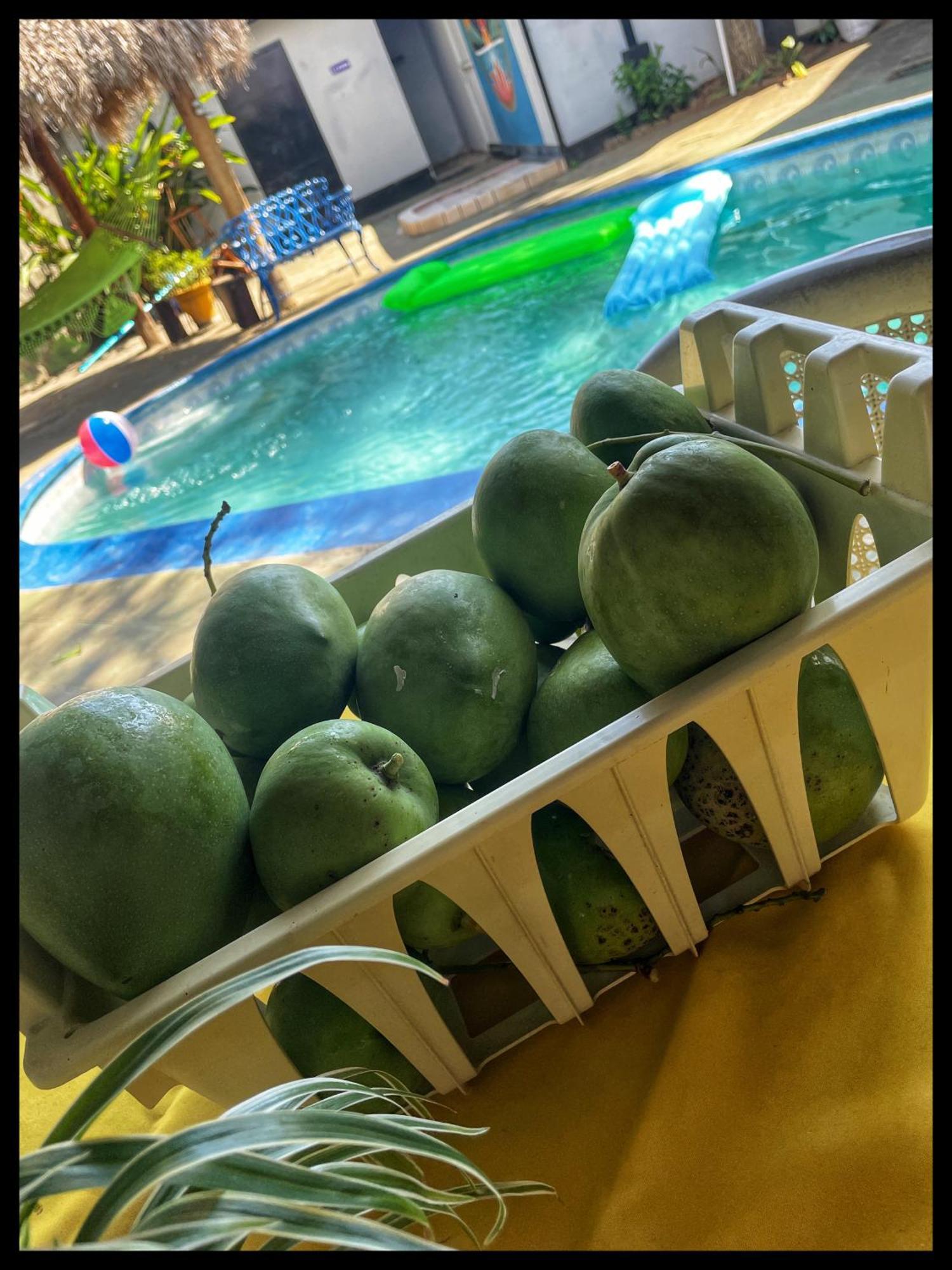 Managua Hotel Oasis エクステリア 写真